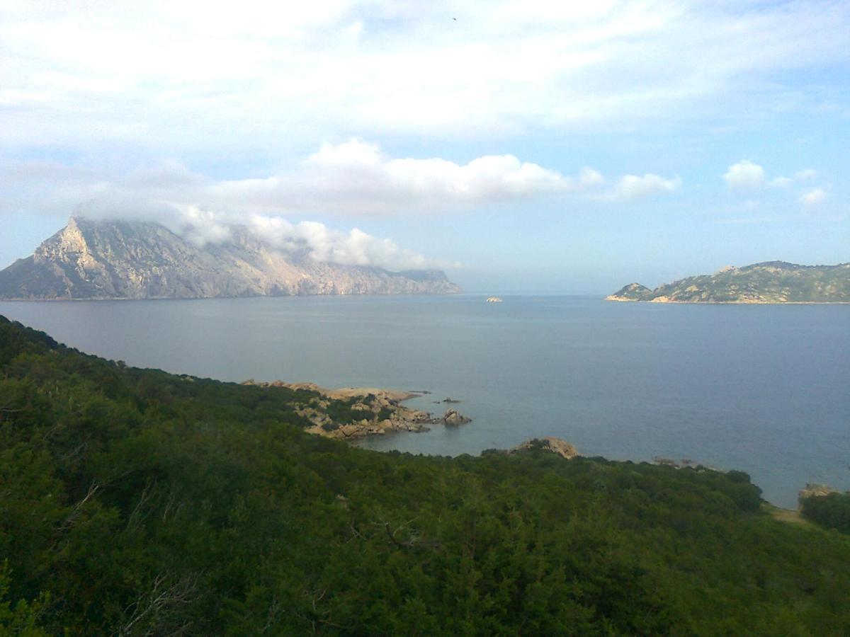 Frina Di Mari B&B San Teodoro  Kültér fotó