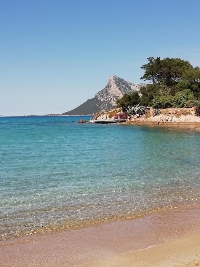 Frina Di Mari B&B San Teodoro  Kültér fotó