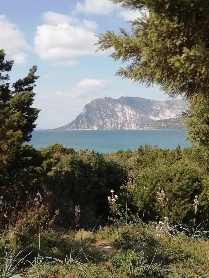 Frina Di Mari B&B San Teodoro  Kültér fotó